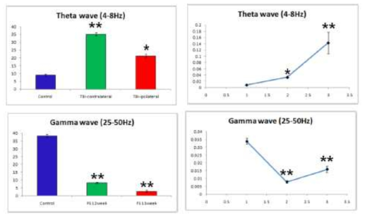 Theta wave 및 Gamma wave의 변화