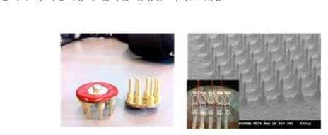 (좌) g.tec사에서 시판중인 electrode finger 타입의 건식 뇌파 전극, (우) National Chiao-Tung University에서 보고한 MEMS 기반의 건식 뇌파 전극