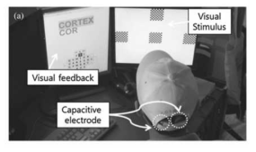 (a) SSVEP 기반의 BCI 실험 모습