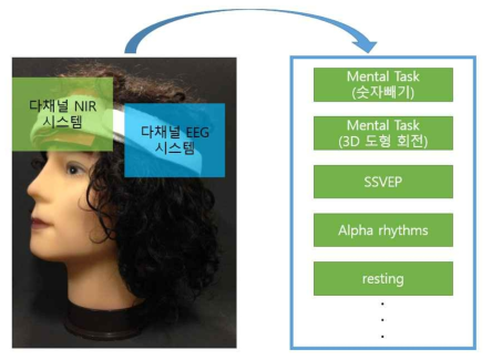 통합 시스템 및 다양한 BCI 패러다임의 구현