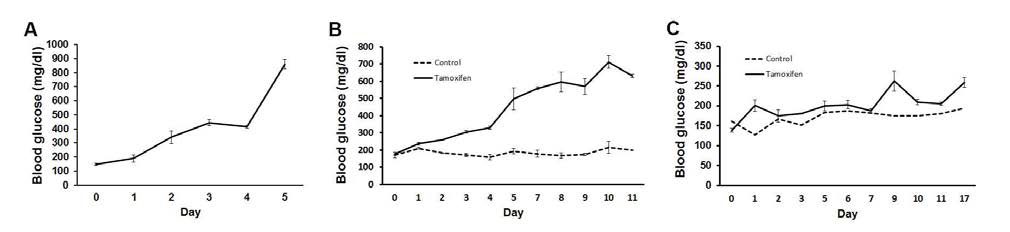Gck flox ; Pdx1-CreER mouse의 tamoxifen 투여량에 따른 혈중 포도당 농도 변화