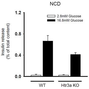 정상식이 WT 마우스와 Htr3a KO 췌장소도에서 당부하 인슐린 분비능 검사