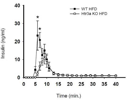 고지방식이 WT 마우스와 Htr3a KO 췌장관류실험을 통한 인슐린 분비능 검사