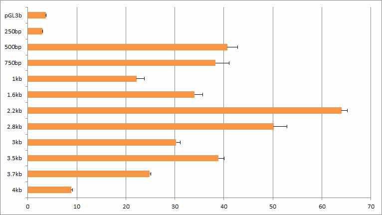 Tph1 Exon 1b promoter에 대해 MIN6 세포주에서 확인한 luciferase activity assay