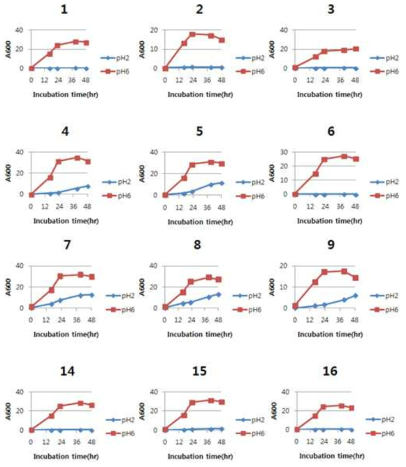 분리균주의 pH에 따른 성장곡선