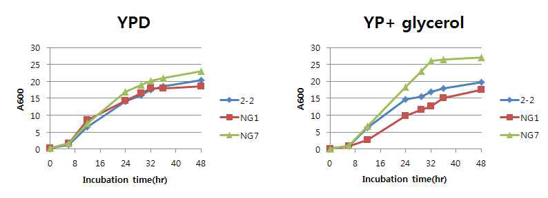 Glycerol 이용능 확인결과