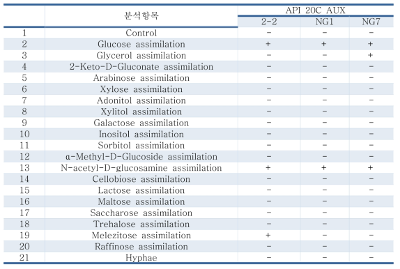 API kit 분석결과