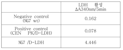 LDH 활성분석