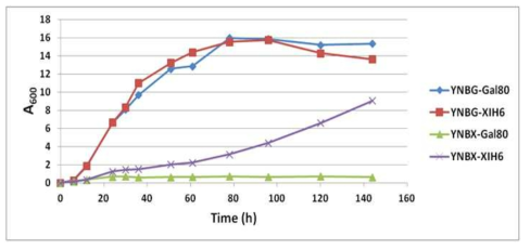 최소배지인 YNB에 xylose 및 glucose를 포함한 배지에서의 XI 형질 전환 효모의 성장 속도 비교