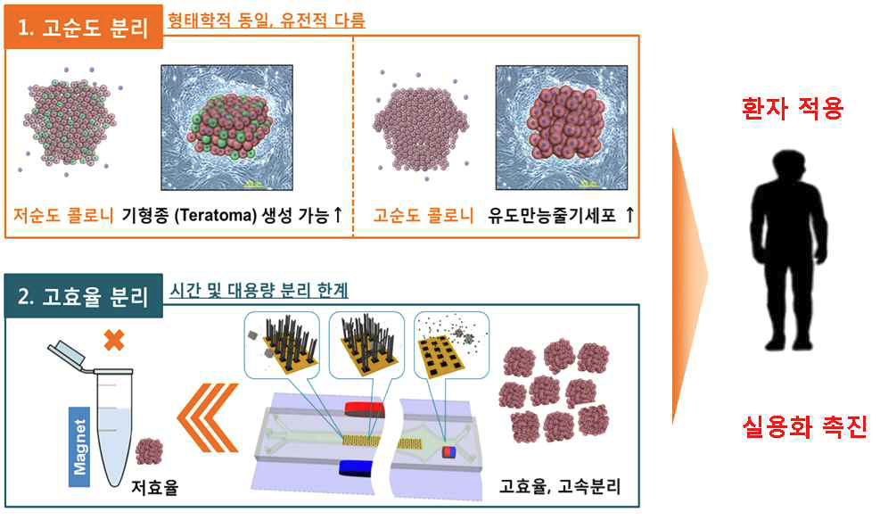 고순도/고효율 분리 시스템을 이용한 실용화 촉진