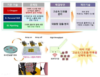 역분화 유도만능 줄기세포 고순도 콜로니 포획/분리 시스템