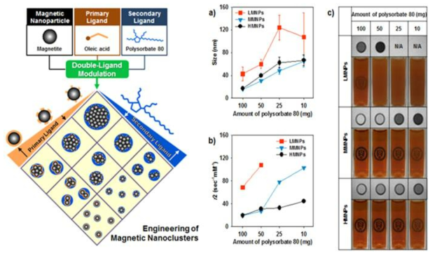 리간드를 조절한 자성나노 클러스터 개념도 (좌), 리간드 양에 따른 자성나노 클러스터의 크기 변화 확인 (중위) 및 자기공명 영상 민감도 확인