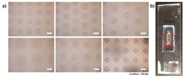 a) 다양한 모양 및 간격으로 자성나노 스탬프 패터닝 영상 및 b) 패터닝이 포함된 PDMS 채널 사진