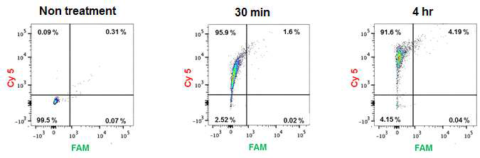 PEI-PEG를 통한 컨트롤 LMB 전달에 대한 FACS 분석 그래프