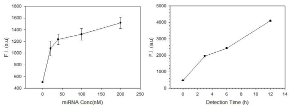 AuNMB의 표적 miRNA 농도-시간의존적 신호증강 효과