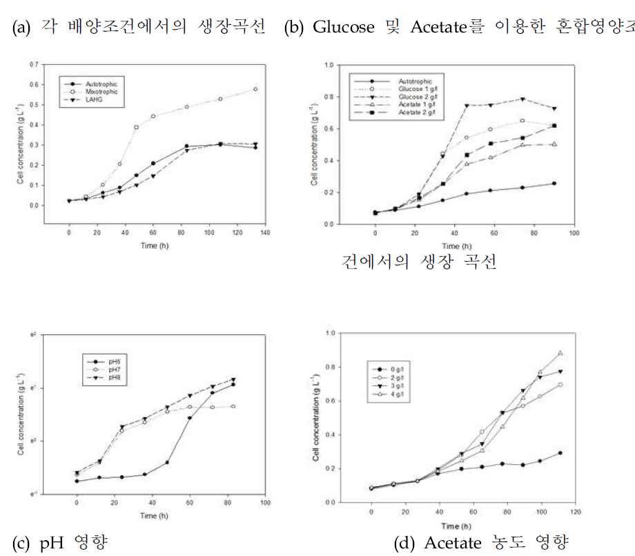다양한 배양조건하에서의 생장곡선