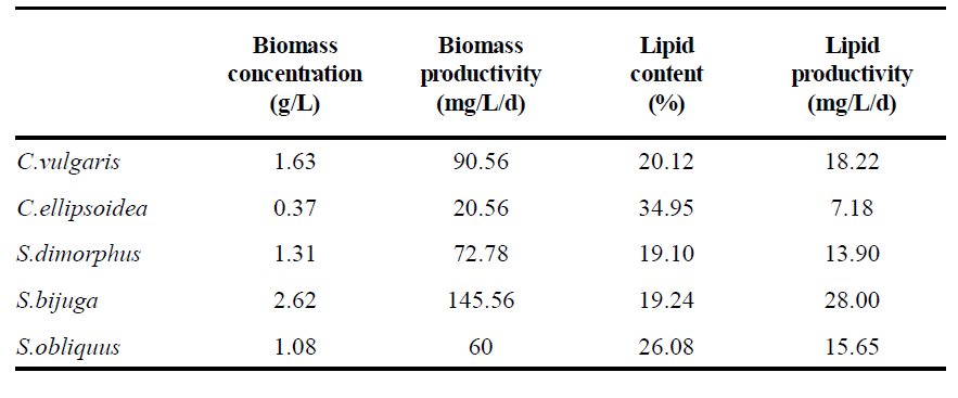 BG11에서 Chlorella spp. 와 Scenedesmus spp. 바이오매스와 지질 생산성 비교