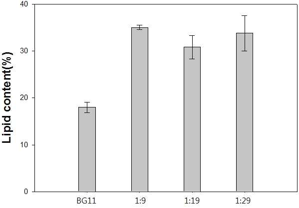 다양한 혼합비의 처리수와 BG11 배지에서 배양한 Scenedesmus bijuga 의 지질 함량