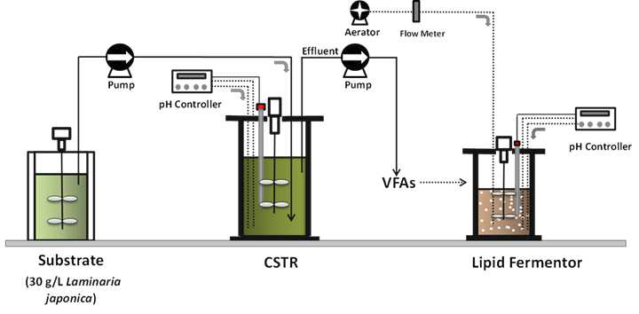연속식 혐기성 발효공정과 repeated fed-batch 형태의 C.curvatus 배양 통합 시스템 모식도