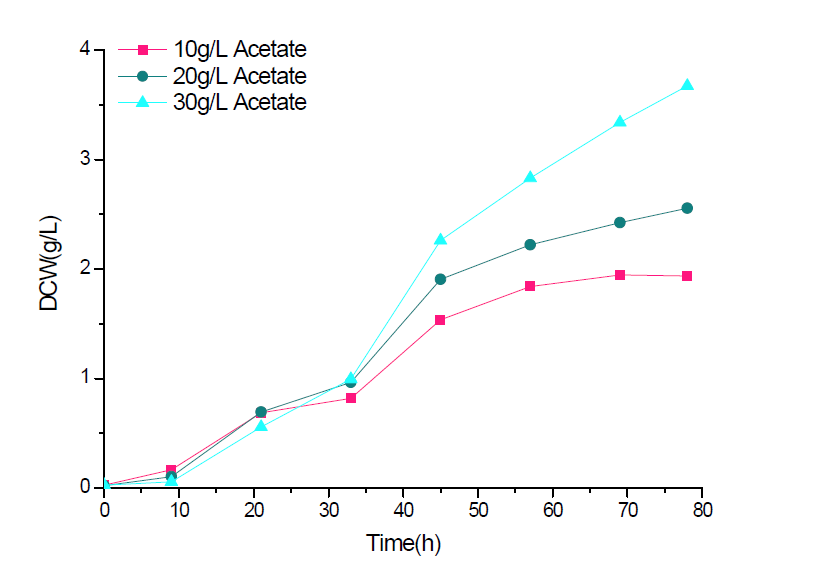 아세트산의 농도에 따른 C. curvatus의 생장률 조사