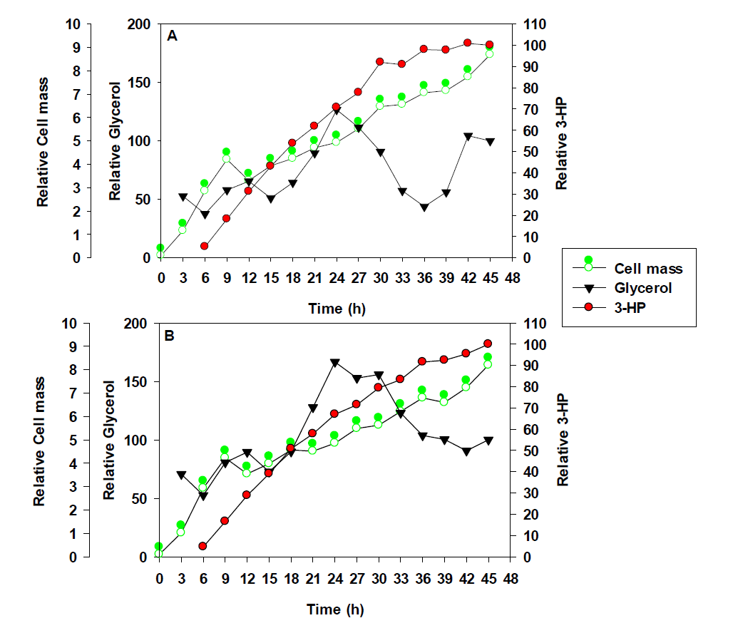 Time course profile of glycerol, glucose consumption, biomass, and 3-HP production in fed-batch bioreactor studies with recombinant Pd Δ3hpdhΔ3hibdhIVΔ3hibdhI (pUCPK’/PC3-dhaB-gdrAB, PC4-KGSADH) (A) and Pd Δ3hpdhΔ3hibdhIVΔ3hibdhI (pUCPK’/PC3-gdrAB-dhaB, PC4-KGSADH) (B) overexpressing glycerol dehydratase and KGSADH.