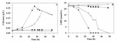 Time course profile on cell growth and 3-HP consumption by P. denitrificans mutant strains. Mutant strains were cultivated in M9 medium supplemented with 3-HP as the sole carbon and energy source.