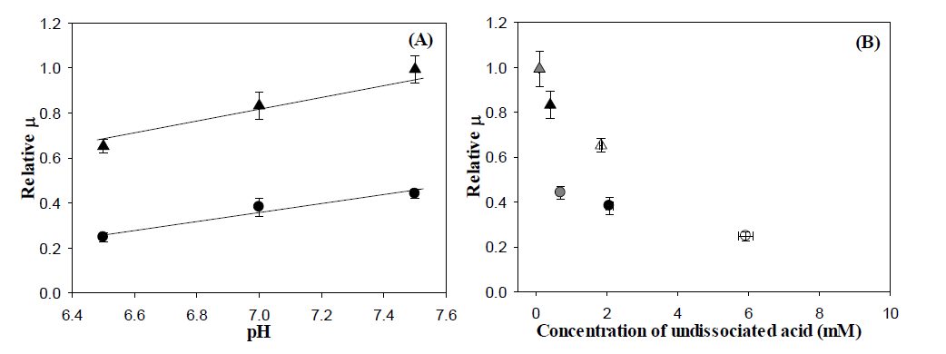 Effect of pH on the relative specific growth rate of E. coli W (A). The medium contained 440 mM of lactic acid (▲) or 3-HP (˜). The relative specific growth rate versus the concentration of undissociated lactic acid or 3-HP (B). The pH levels tested are denoted by grey symbols (pH 7.5), closed symbols (pH 7.0) and open symbols (pH 6.5).