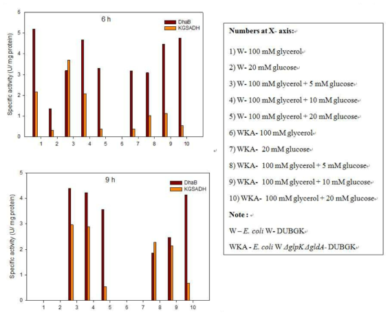 Glycerol dehdyratase and KGSADH activities in the samples of EcW DUBGK and EcWΔ glpKΔgldA DUBGK, collected at 6 and 9 h from shake flask cultures supplemented with various concentrations of glucose.
