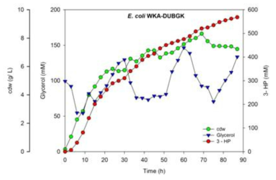 Time course profile of glycerol consumption, 3-HP production and cell growth of EcW Δ glpKΔgldA DUBGK overexpressing glycerol dehydratase and KGSADH.