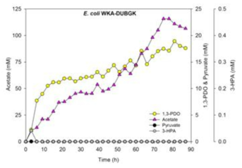 Time course profile of 3-HPA, acetate and 1,3-PDO production by recombinant EcW Δ glpKΔgldA DUBGK overexpressing glycerol dehydratase and KGSADH