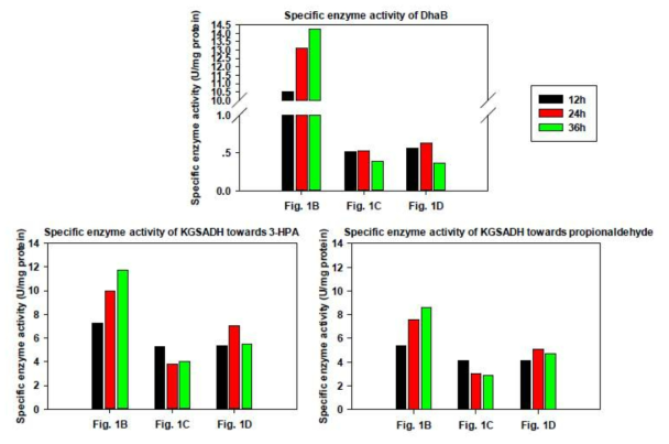 Specific enzyme activity of glycerol dehydratase and KGSADH in crude cell extracts of Pd Δ3hpdhΔ3hibdhIV pUCPK’/PC3-dhaB-gdrAB, PC4-KGSADH) collected at various time points.