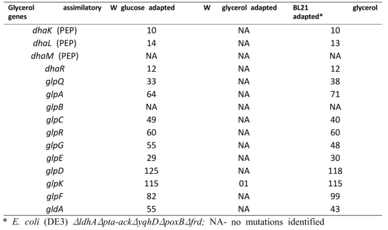 Summary of nucleotide changes in glycerol assimilatory genes of various E. coli strains adapted in the presence of 3-HP.
