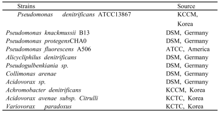 Bacteria strains used in this study