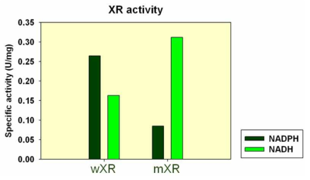 단독 발현 XR의 효소역가의 비교