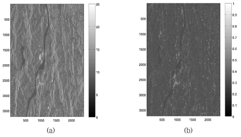 ALOS PALSAR (a) 평균 진폭 영상과 (b) 평균 긴밀도 영상