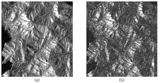 확대된 지리좌표계 (a) 평균 진폭영상과 (b) 단일 SAR 진폭영상