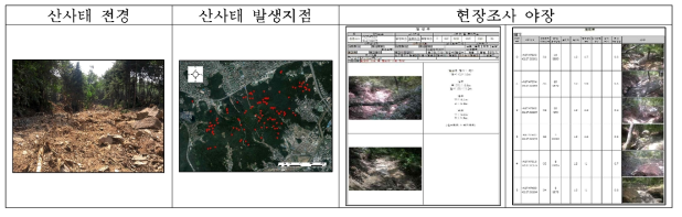 Landslide and debris flow area survey data