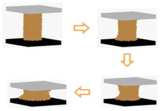 3D Particle method simulation of unconfined compression test