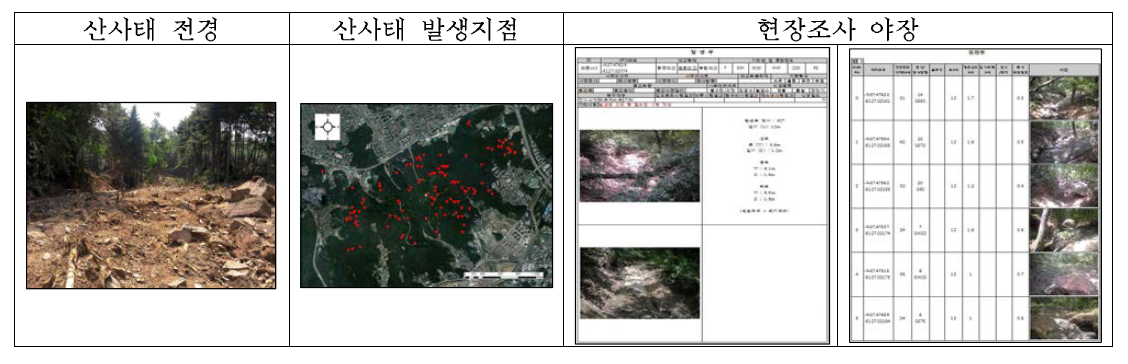 Landslide and debris flow area survey data