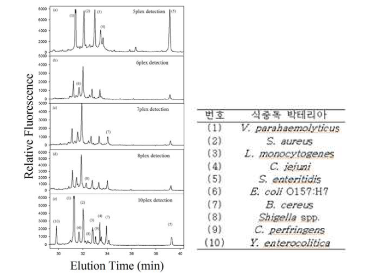 10종의 식중독균에 대한 교차반응 최소화 확인.