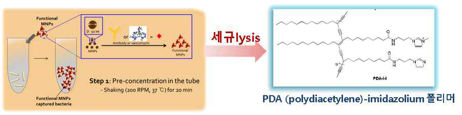 PDA polymer를 이용한 DNA 추출 module.