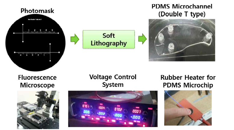 PDMS microchannel 제작 및 분석 환경 구축.