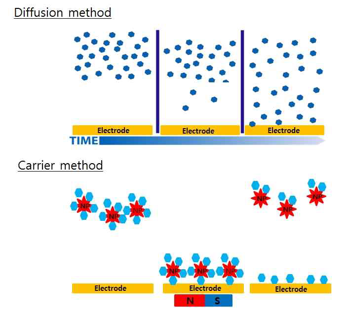 전극표면에 고정화를 위한 방식의 모식도.
