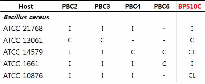 B. cereus 를 감염시키는 박테리오페이지의 host range 분석