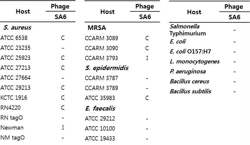 Staph. aureus 를 감염시키는 박테리오페이지 SA6의 host range 분석