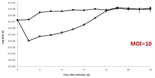 E. coli O157:H7 ATCC 43890 에 대하여 E. coli O157:H7 phage HY01 의 Bacterial challenge assay.