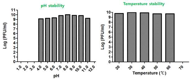 다양한 pH와 온도에 따른 E. coli O157:H7 박테리오페이지 BPS10C Stability 분석.