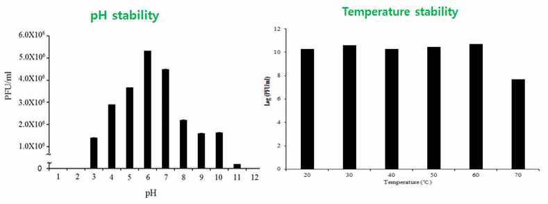 다양한 pH와 온도에 따른 S. Typhimurium bacteriophage NR01의 Stability 분석.