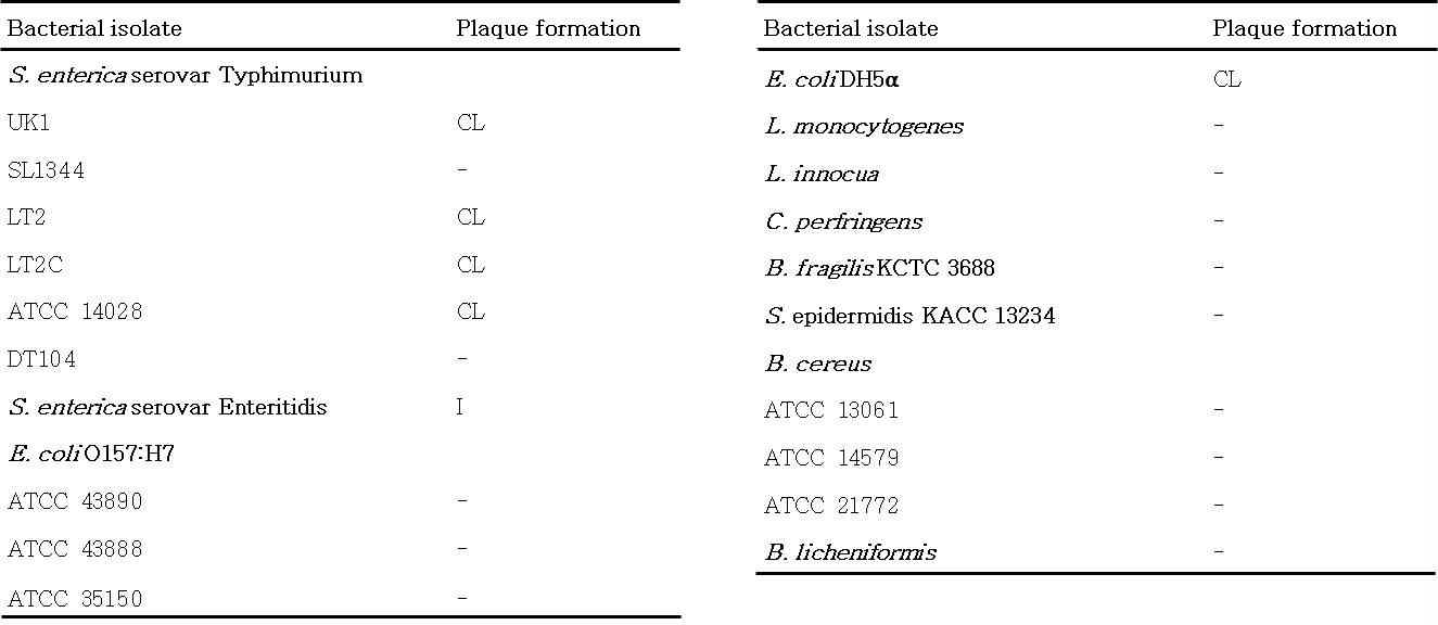 S. Typhimurium를 감염시키는 박테리오페이지의 host range 분석