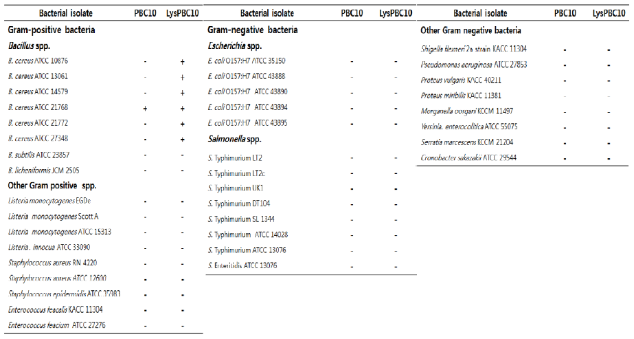 Endolysin LysPBC10의 host range 측정 결과